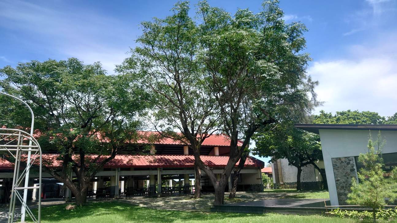 kinh nghiệm trèo cây